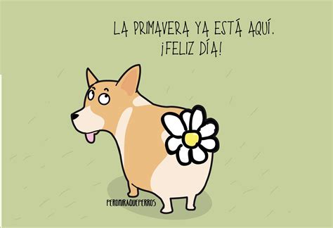 gracioso frases de primavera|36 memes de primavera: Las frases más divertidas para alegrar .